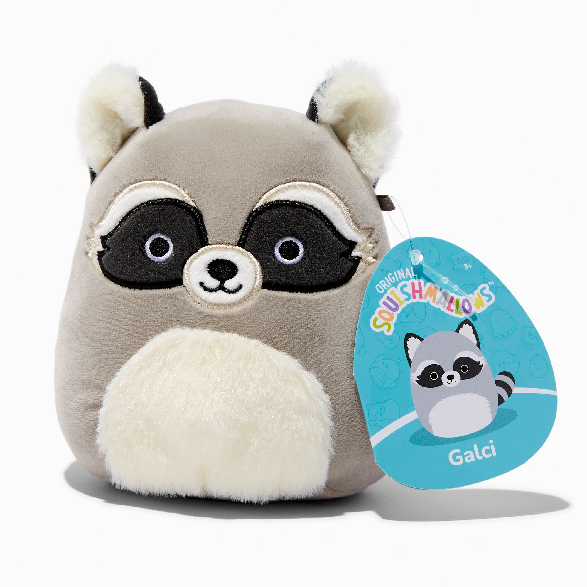 Squishmallows raccoon store