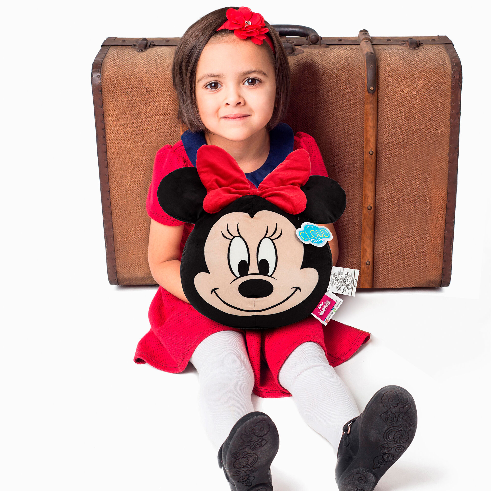 Minnie mouse hot sale cloud pillow