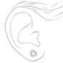 Clous d&#39;oreilles nou&eacute;s en strass couleur argent&eacute;e,