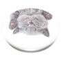 PopSocket PopGrip chat qui fait la sieste,