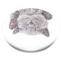PopSockets Swappable PopGrip - Cat Nap,