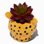 Cheetah Planter with Faux Succulent,