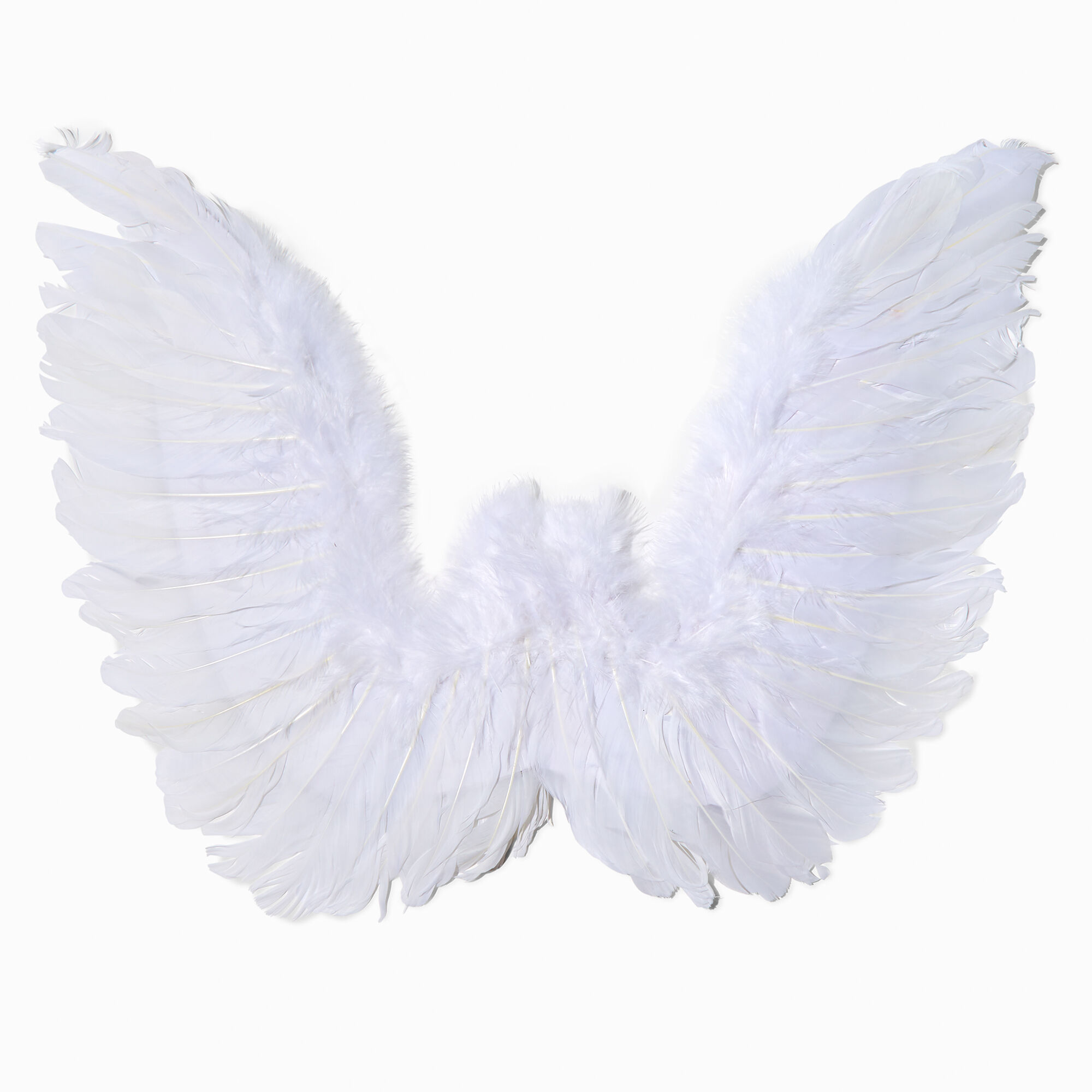 Ailes d'ange à plumes blanches,