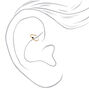 Gold Sterling Silver 20G Crystal Heart Rook Earring - Black,