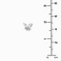 Silver-tone Cubic Zirconia Butterfly Stud Earrings,