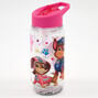 Paw Patrol The Movie&trade; Water Bottle &ndash; Pink,