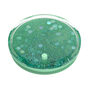 PopSockets PopGrip - Liquid Mint,