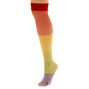 Rainbow Block Over The Knee Fishnet Socks,