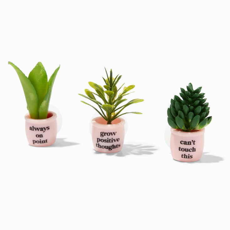 Lot de mini plantes succulentes - Lot de 3,