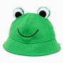 Bob grenouille verte,