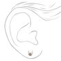 Clous d&#39;oreilles bois de renne strass couleur argent&eacute;e,