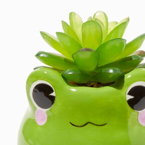Pot grenouille avec plantes succulentes artificielles,