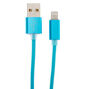 USB 1M Charging Cord - Teal,