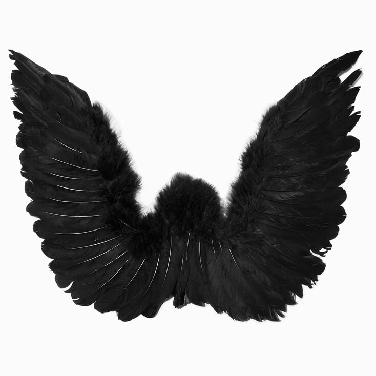 Black Feathery Angel Wings,