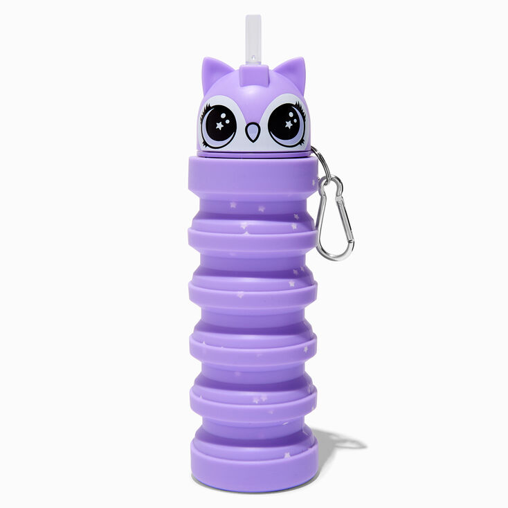 Collapsible Owl Water Bottle,