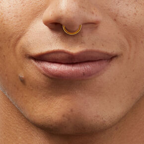 Gold-tone 16G Crystal Horseshoe Septum Nose Ring,