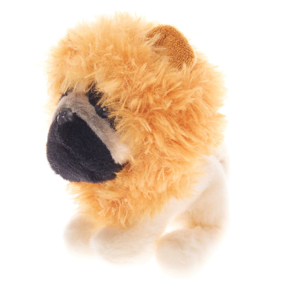 small lion teddy