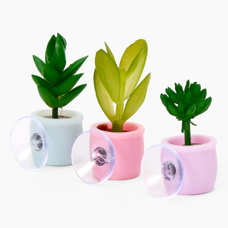 Lot de mini plantes succulentes avec ventouse - Lot de 3,