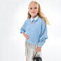 Black Trim See Through Crossbody Bag,
