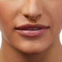 16G Gold-tone Stainless Steel Threadless Septum Nose Stud ,