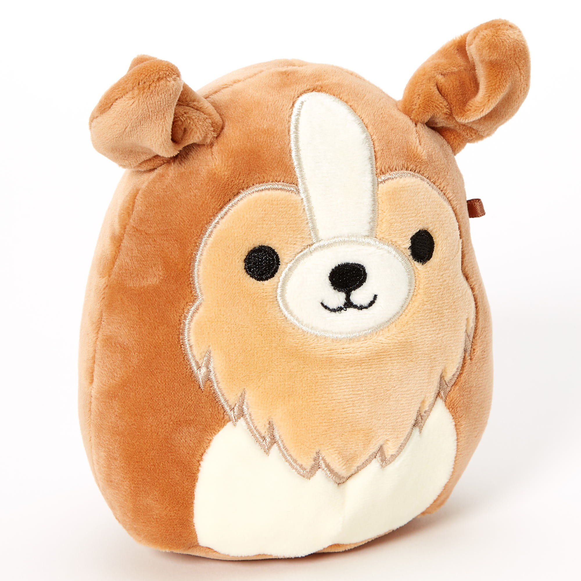 tim squishmallow