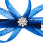 Bibi &agrave; plumes bleu marine,