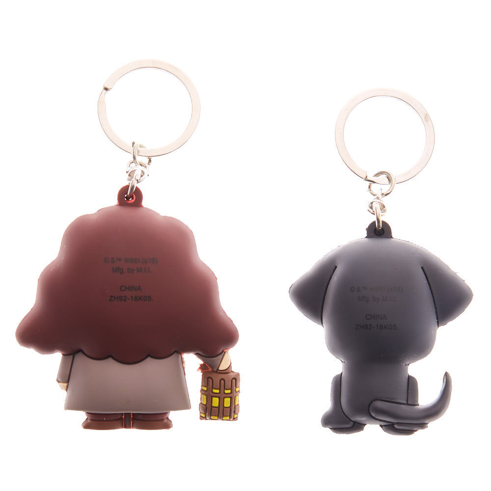 Harry Potter™ Series 4 Collectors Keyring Surprise Bag,