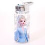 &copy;Disney Frozen 2 Water Bottle - Silver,