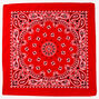 Paisley Silky Bandana Headwrap - Red,
