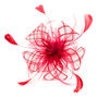 Bibi en tulle et plumes bordeaux,