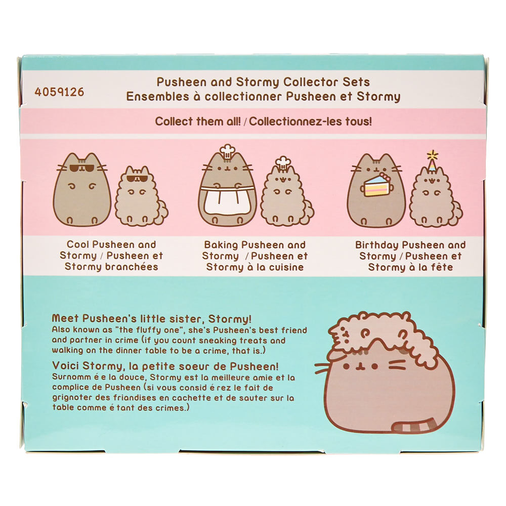 stormy pusheen birthday