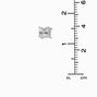 Silver-tone Cubic Zirconia 8mm Square Stud Earrings,