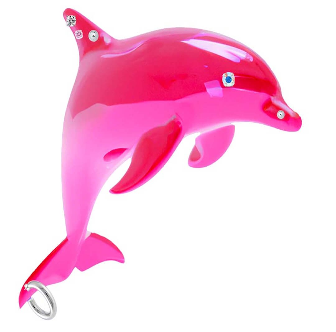 dolphin