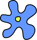 Blue squiggly line
