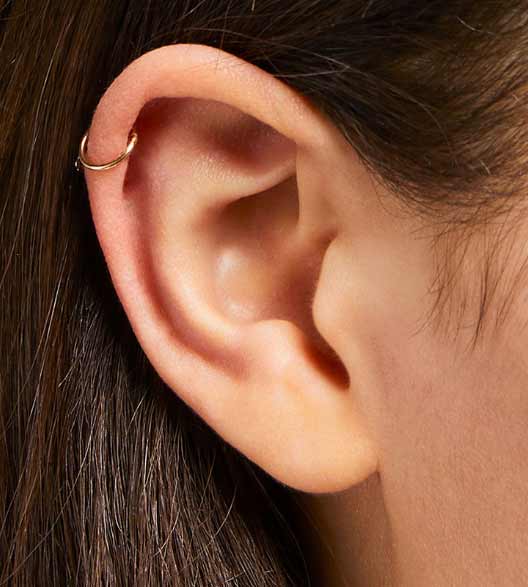 Cartilage