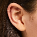 Cartilage