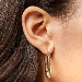 Single Lobe