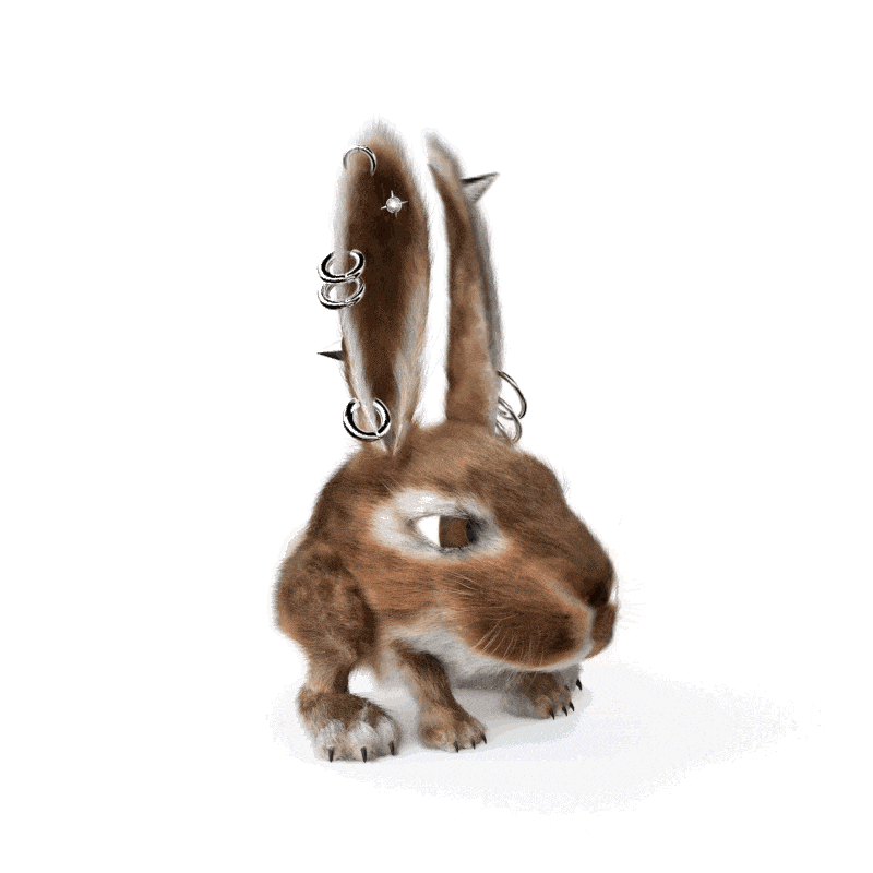 Pierced Rabbit